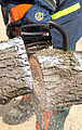 Ein THW-Helfer durchsägt einen Baumstamm mittels Kettensäge.
