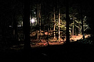 THW Ahrweiler bringt Licht in das Dunkel der Mountainbikestrecke durch den Wald.